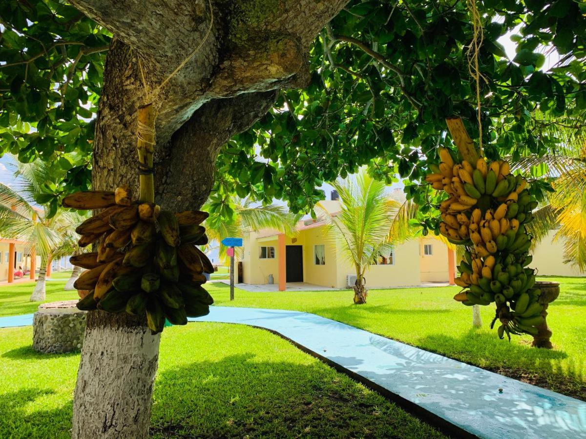 Hotel La Roca Costa Esmeralda Monte Gordo Eksteriør billede